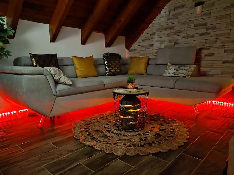 Apartment Le Loft Dore Ustou France