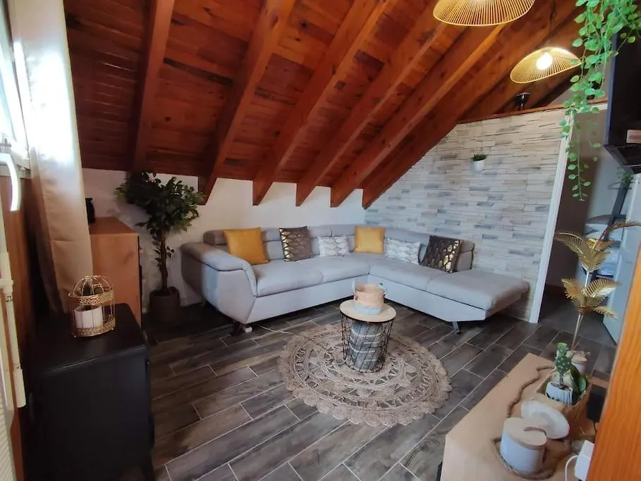 Apartment Le Loft Dore Ustou