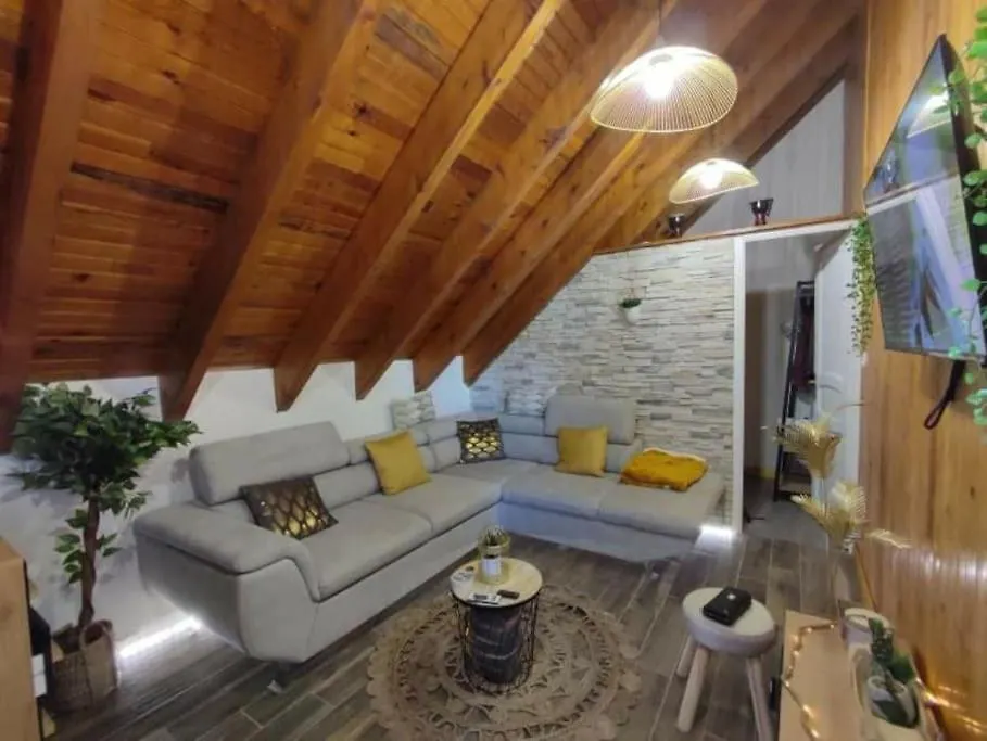 Apartment Le Loft Dore Ustou
